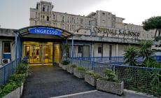 Dottoressa picchiata al pronto soccorso a Napoli: due donne indagate, vigilante sospeso