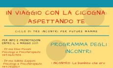 In viaggio con la cicogna: aspettando te
