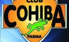 Cohiba Spring Festival