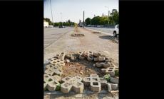 Taglio degli alberi, Pizzarotti: 'Mancavano i parametri minimi di sicurezza'