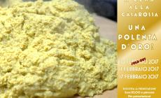A cena alla Casarossa: una polenta d'oro!
