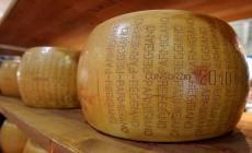 Parmigiano Reggiano, il Consorzio deposita il ricorso contro Kraft e il suo 'parmesan'