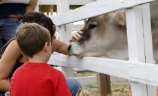 Rural Festival: la parola alla biodiversità