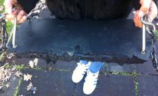 Incivilt&agrave; al parco Golese