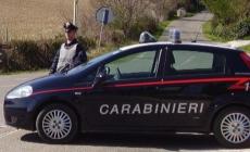Cetona, anziana uccisa nella sua abitazione