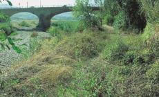 Il Comune rinuncia alla ciclabile nell'alveo della Parma