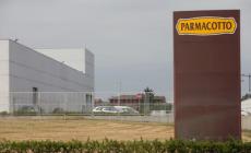 «Parmacotto, la priorità è salvare i posti di lavoro»
