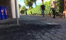 Fanno razzia di bidoncini gialli da via Sidoli e gli danno fuoco