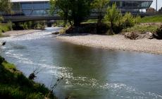 Schiuma nella Parma: le risposte