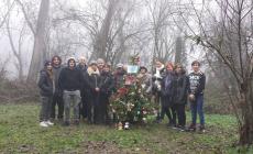 Addobbato l'albero di Tommy