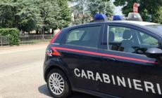 Spara al cane del vicino, poi si pente e va dai carabinieri: denunciato