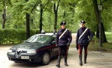 Nasconde la droga fra i rami di un albero ma arrivano i carabinieri: denunciato 