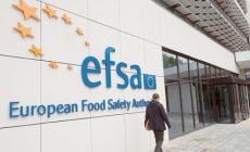 Studio Efsa: 25mila morti all'anno in Europa per la resistenza dei batteri agli antibiotici 