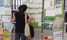Offerte di lavoro a cura di Publiedi