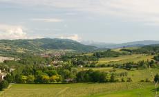 Pedalando tra le Colline di Parma: castelli, mercati contadini e bagni di gong in fattoria