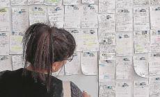 Ecco 20 offerte per chi cerca lavoro