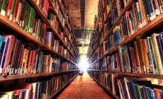 Stilton "maxi", Camilleri e Grossman: i libri per ragazzi sotto l'albero