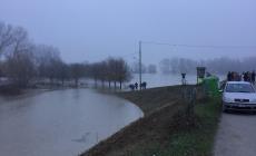 La piena del Po  a Stagno di Roccabianca 