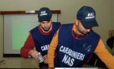 Furti di farmaci anti tumorali, decine di arresti in un'operazione dei Nas
