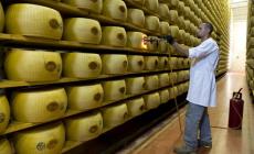 Emilia, l'agroalimentare ha perso 54,4 mln in 2 anni 
