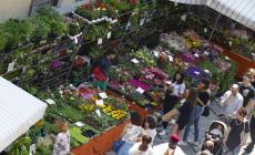 Via Farini infiorata: ma c'&egrave; tanto altro - La top 5 del fine settimana