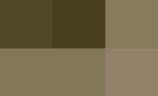 I vandali assediano il centro Argonne  