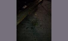 "Via Milano, se questo è un parco..."- Foto