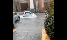Nubifragio in città e provincia - Video