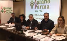 Consorzio agrario, nel 2015 si consolida la crescita