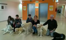 Firenze: "Pet therapy" in rianimazione