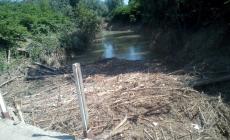 Pericolo nel torrente Parma a Torrile  - Foto