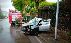 Auto sbanda e finisce contro un platano in via Mantova: un ferito