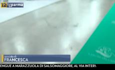 Affluenza record per il Salone del camper - Video