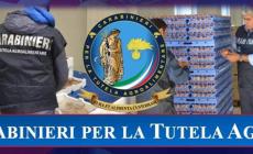 Sequestrati 10 tonnellate di miele con etichette prive delle indicazioni obbligatorie