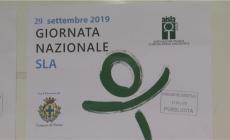 In piazza Garibaldi torna lo stand per la XII Giornata contro la Sla - Video