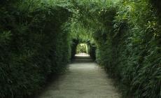 Ottobre inizia  all'insegna del bamb&ugrave;  