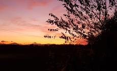 Tramonto ad Alberi