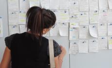 Ecco 33 offerte per chi cerca lavoro