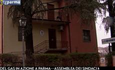 Busseto, guidava sotto l'effetto della cocaina: denunciato un giovane - Video