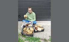 Quanti funghi!