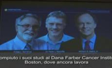 Nobel per la Medicina  Kailin, Radcliffe e Semenza - Video