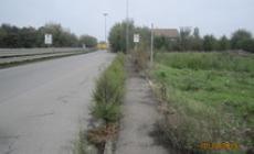 Via Colorno, quella ciclabile poco ciclabile... - Foto