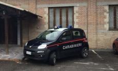 Litiga con l’anziano che assiste poi lo aggredisce col coltello: denunciata a Brescello