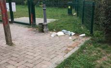 'Parco del Dono, area cani di nuovo impraticabile'