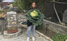 Una verza da 7 kg e un porcino da 2: i 'bottini' delle nostre lettrici - Foto