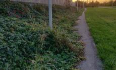 Ciclabile di via Massimo D'Antona inutilizzabile ma sempre illuminata - Foto