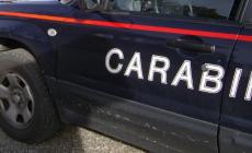 Uomini armati rapinano agenzia scommesse nel Modenese
