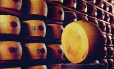 Sito porno cita il Parmigiano Reggiano in uno spot: il Consorzio fa causa