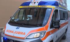 BORGO FELINO, RITROVATO SENZA VITA