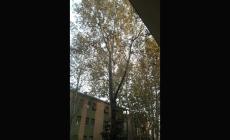 Via Milano abbandonata 'Ma noi paghiamo le tasse' - Foto 